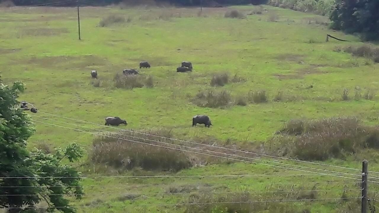 Mirissa Eco Hills Βίλα Εξωτερικό φωτογραφία